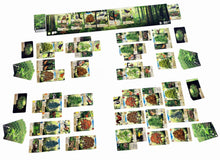 Load image into Gallery viewer, Forest Shuffle
