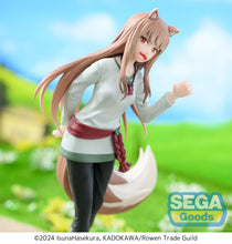 Load image into Gallery viewer, Spice and Wolf Merchant Meets the Wise Wolf Desktop Decorate Collections Holo
