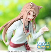Load image into Gallery viewer, Spice and Wolf Merchant Meets the Wise Wolf Desktop Decorate Collections Holo
