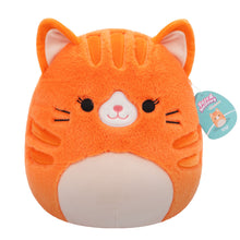 Load image into Gallery viewer, Squishmallows Fuzzamallows Assortment A 12&quot;
