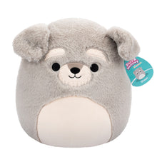 Load image into Gallery viewer, Squishmallows Fuzzamallows Assortment A 12&quot;
