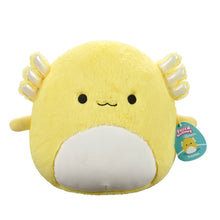 Load image into Gallery viewer, Squishmallows Fuzzamallows Master Assortment B 12&quot;
