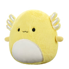 Load image into Gallery viewer, Squishmallows Fuzzamallows Master Assortment B 12&quot;
