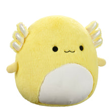 Load image into Gallery viewer, Squishmallows Fuzzamallows Master Assortment B 12&quot;
