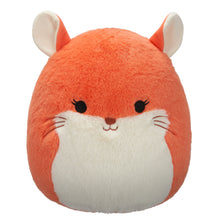 Load image into Gallery viewer, Squishmallows Fuzzamallows Master Assortment B 12&quot;

