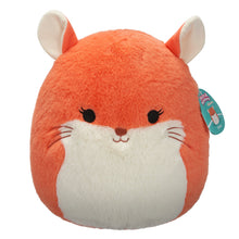 Load image into Gallery viewer, Squishmallows Fuzzamallows Master Assortment B 12&quot;
