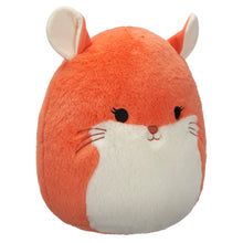 Load image into Gallery viewer, Squishmallows Fuzzamallows Master Assortment B 12&quot;
