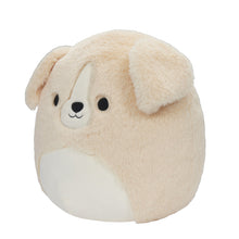 Load image into Gallery viewer, Squishmallows Fuzzamallows Master Assortment C 12&quot;
