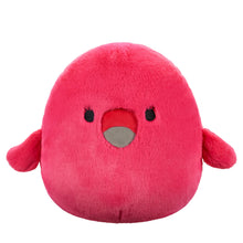 Load image into Gallery viewer, Squishmallows Fuzzamallows Master Assortment C 12&quot;
