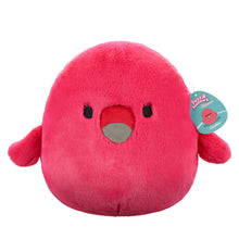 Load image into Gallery viewer, Squishmallows Fuzzamallows Master Assortment C 12&quot;
