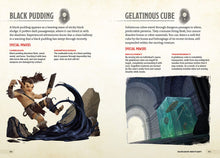 Load image into Gallery viewer, D&amp;D Dungeons &amp; Dragons the Young Adventurers Collection (Monsters &amp; Creatures, Warriors &amp; Weapons, Dungeons &amp; Tombs, and Wizards &amp; Spells: Dungeons and Dragons
