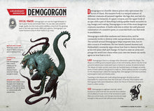 Load image into Gallery viewer, D&amp;D Dungeons &amp; Dragons the Young Adventurers Collection (Monsters &amp; Creatures, Warriors &amp; Weapons, Dungeons &amp; Tombs, and Wizards &amp; Spells: Dungeons and Dragons
