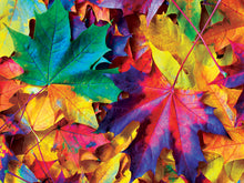 Load image into Gallery viewer, Masterpieces Puzzle Brilliance Collection Fall Frenzy Puzzle 550 pieces
