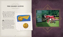 Load image into Gallery viewer, Incredibuilds Harry Potter Golden Snitch 3D Wood Model and Booklet
