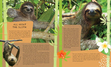 Load image into Gallery viewer, Incredibuilds Animal Collection Sloth

