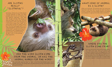 Load image into Gallery viewer, Incredibuilds Animal Collection Sloth
