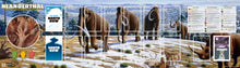 Load image into Gallery viewer, Neanderthal Greenland Folding Board
