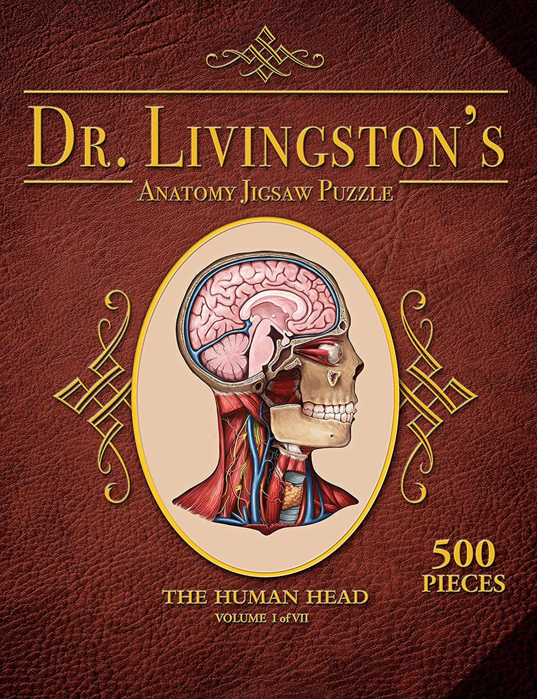 Dr. Livingston's Anatomy the Human Head Puzzle 500 pieces