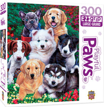 Load image into Gallery viewer, Masterpieces Puzzle Playful Paws Fluffy Fuzzballs Ez Grip Puzzle 300 pieces
