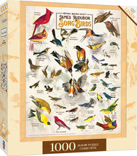 Load image into Gallery viewer, Masterpieces Puzzle Poster Art James Audubon Song Birds Puzzle 1,000 pieces
