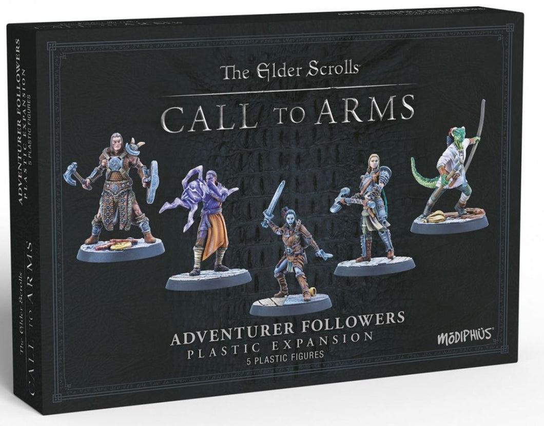 Elder Scrolls Call to Arms Miniatures - Adventurer Followers