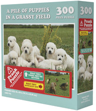 Load image into Gallery viewer, Doing Things Puppies Prank Puzzle 300 pieces
