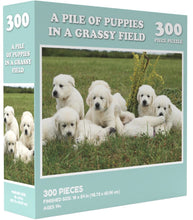 Load image into Gallery viewer, Doing Things Puppies Prank Puzzle 300 pieces
