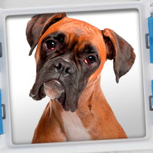 Load image into Gallery viewer, 100 PICS Quizz Dog Breeds
