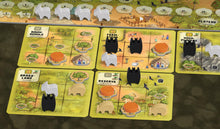Load image into Gallery viewer, Atiwa Community Nature Game
