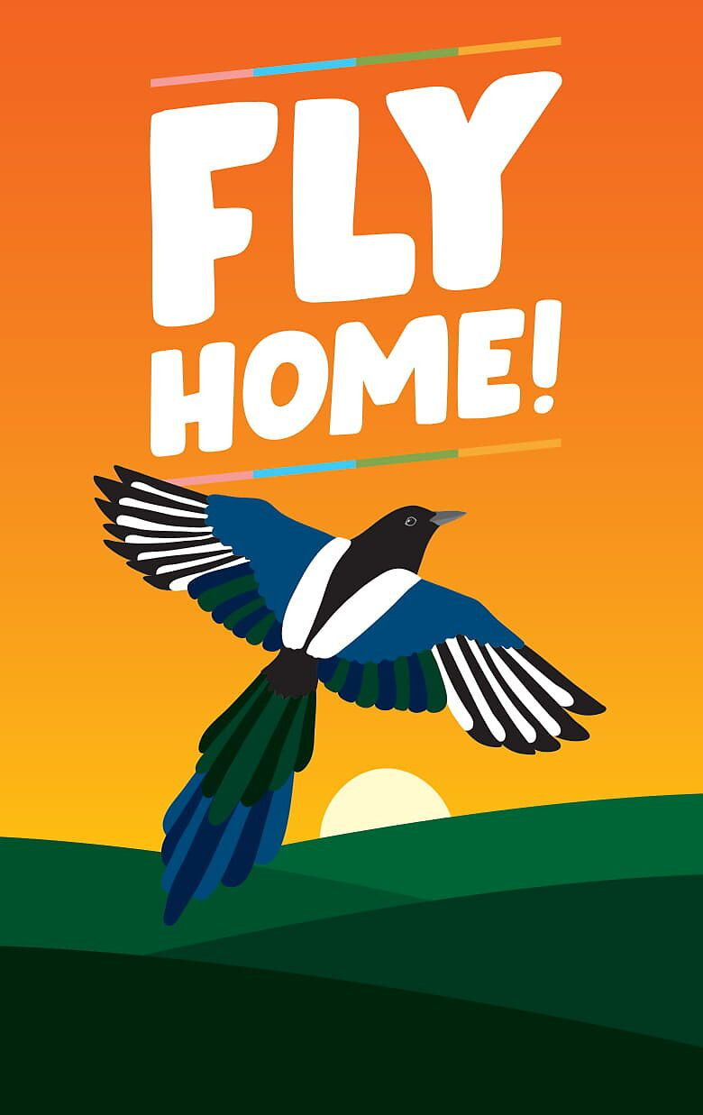 Fly Home Tabletop Gaming
