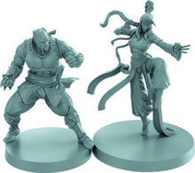 Load image into Gallery viewer, Sword &amp; Sorcery - White/Black Monk (Genryu/Shakiko) Hero Pack
